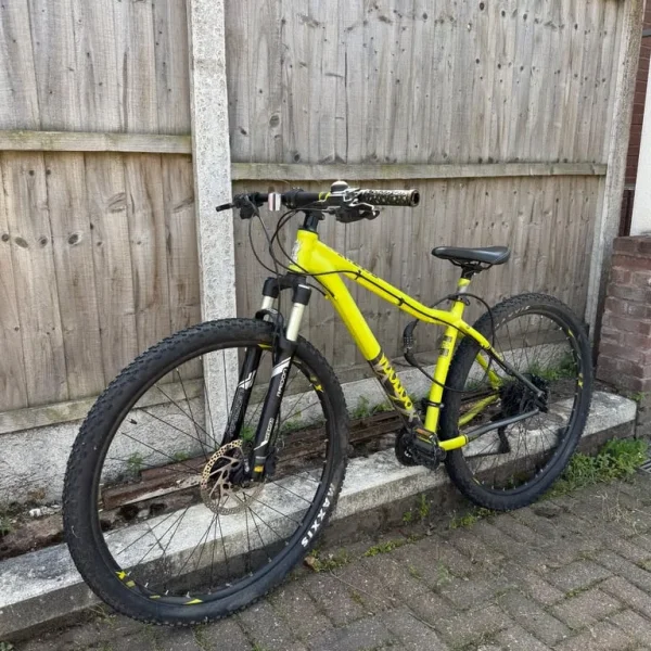 Voodoo Bizango 29er Mountain Bike