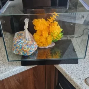 Fish tank full set up - Image 2