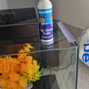 Fish tank full set up - Image 3