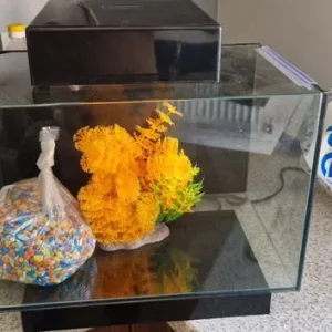 Fish tank full set up