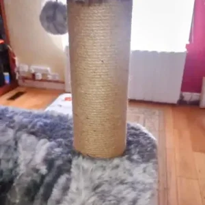 Cat-sized pet equipment - Image 3