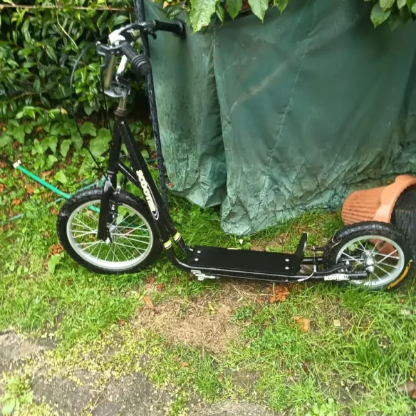 Scooter bike