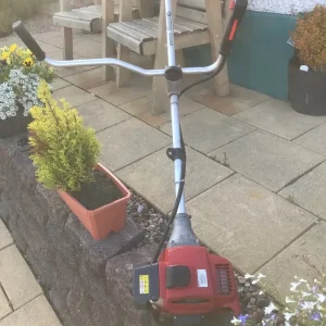 Kawasaki Strimmer - Image 5