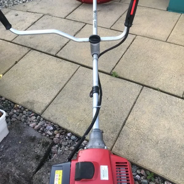 Kawasaki Strimmer