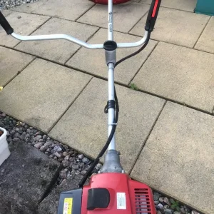 Kawasaki Strimmer