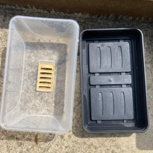 9 x seed propagators - Image 2