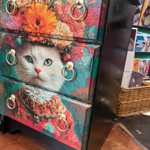 Frida Catlo. Chest of drawers - Image 5