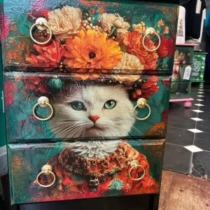 Frida Catlo. Chest of drawers