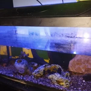 Fish tank - Image 2