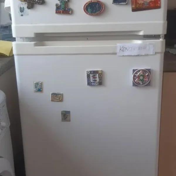 Beko FG 950 fridge freezer