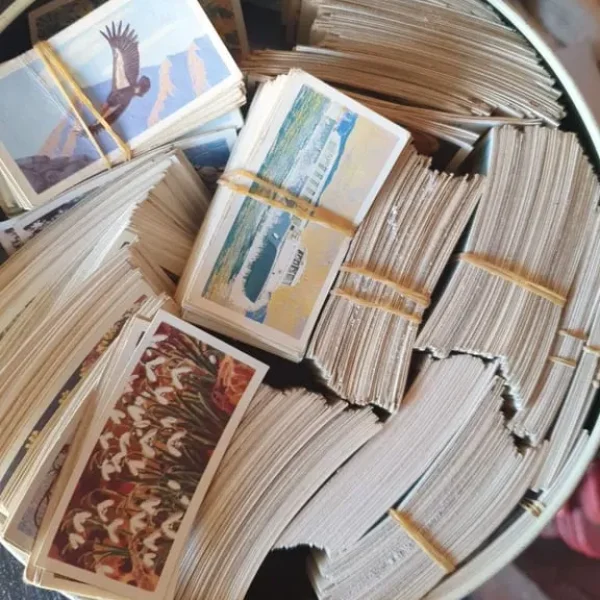Tin of little cards