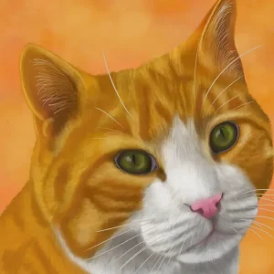 Animal portraits and pet headshots - Image 2