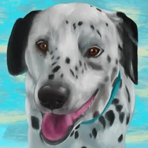 Animal portraits and pet headshots - Image 3