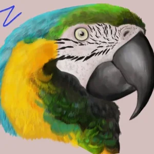 Animal portraits and pet headshots - Image 4