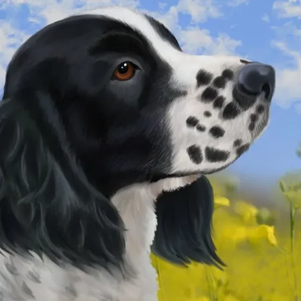 Animal portraits and pet headshots