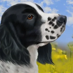 Animal portraits and pet headshots