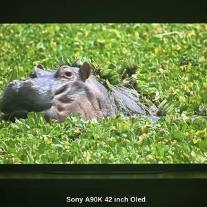 Sony Bravia XR42A90K OLED TV - Image 5