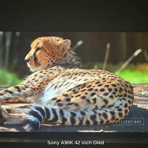 Sony Bravia XR42A90K OLED TV - Image 6