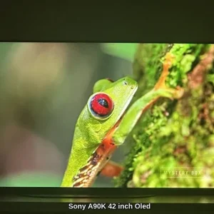 Sony Bravia XR42A90K OLED TV - Image 8