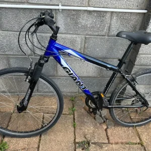 Giant Bike - Image 2