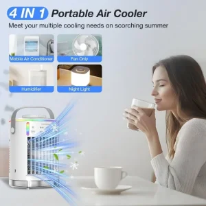Air Conditioner and Fan Combo - Image 2