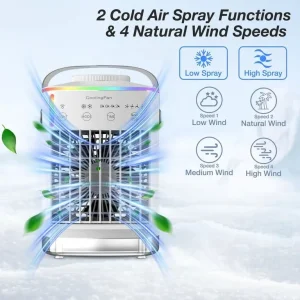 Air Conditioner and Fan Combo - Image 3