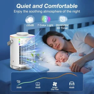 Air Conditioner and Fan Combo - Image 4