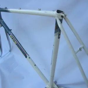 PLUM VAINQUEUR of GENT - White Grey - Early 1970s - 56.5cm CTC - Image 2