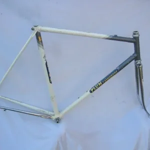 PLUM VAINQUEUR of GENT - White Grey - Early 1970s - 56.5cm CTC - Image 6