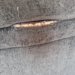 Ex DFS sofa and 2 arm chairs - Image 5