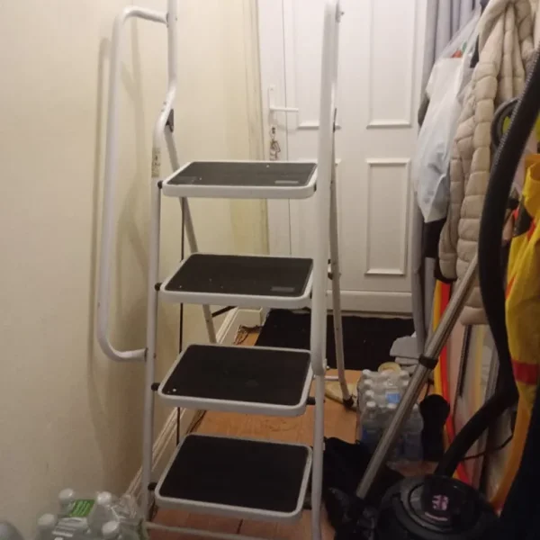 Step ladder safety handrails