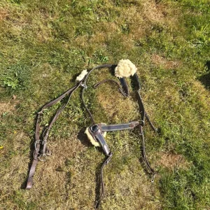 Horse breast plate