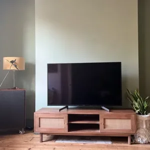 Sony Bravia 50” TV