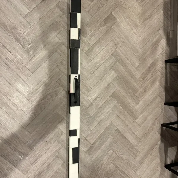snooker cue case