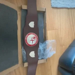 English title boxing belt - Image 2