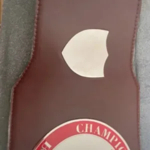 English title boxing belt - Image 4