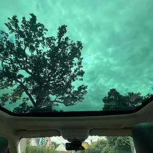 2019 Land Rover Range Rover Evoque 2.0 D180 SE 5dr Diesel Auto 4WD Black SUV - Image 8