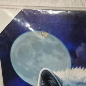 Wolf Canvas prints x2 - Image 4