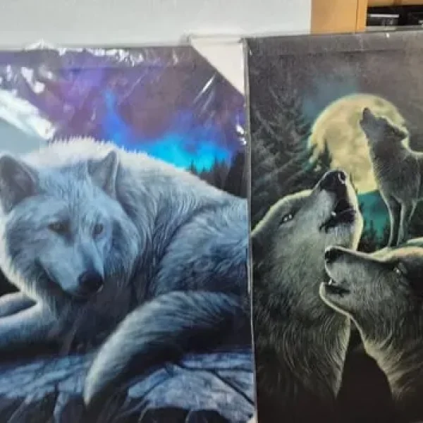 Wolf Canvas prints x2