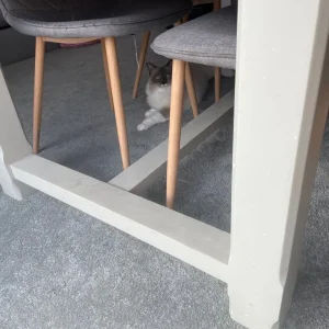 Extendable Table - Image 2