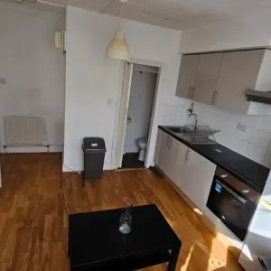 LARGE STUDIO APARTMENT - Image 4