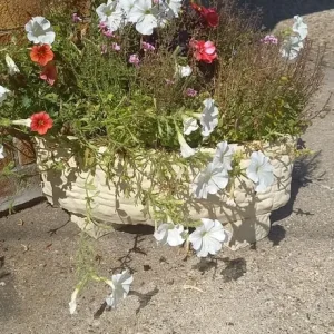 Assortment of concrete garden ornaments - Image 3
