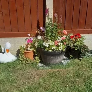 Assortment of concrete garden ornaments - Image 6