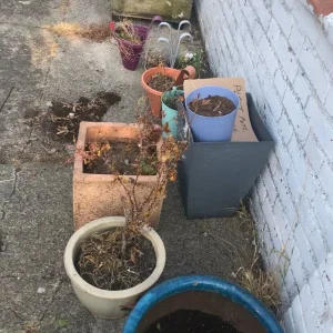 Various planters, pots and hanging baskets