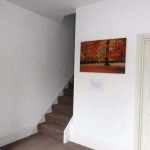 1 Bed Flat with Open Plan, New Refurbishment – Epping Forest - Image 8