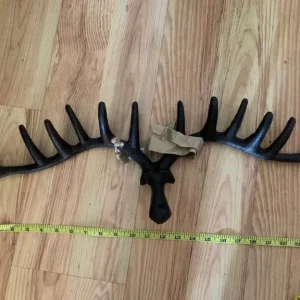 Coat hook antlers