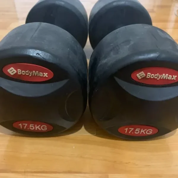 Two 17.5kg dumbbells