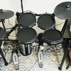 Alesis Nitro Mesh E drum kit with Roland PM-03 amp