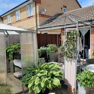 2 TIER GAZEBO - Image 2