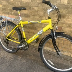 Raleigh Max 18" - Image 2